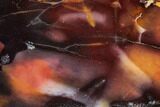 Polished Mookaite Jasper Slab - Australia #110286-1